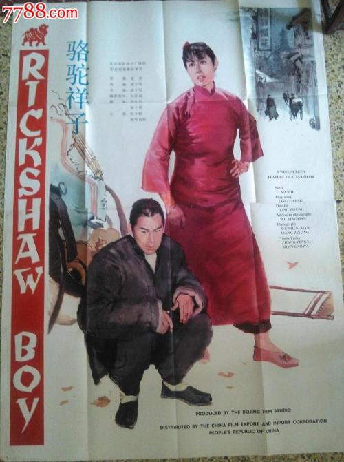 输入不动产证书号查询不到信息